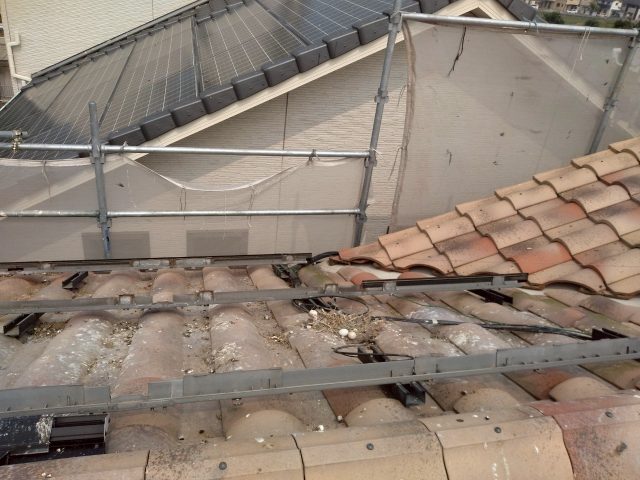 高松市で太陽光パネル下に溜まっていた枝や土